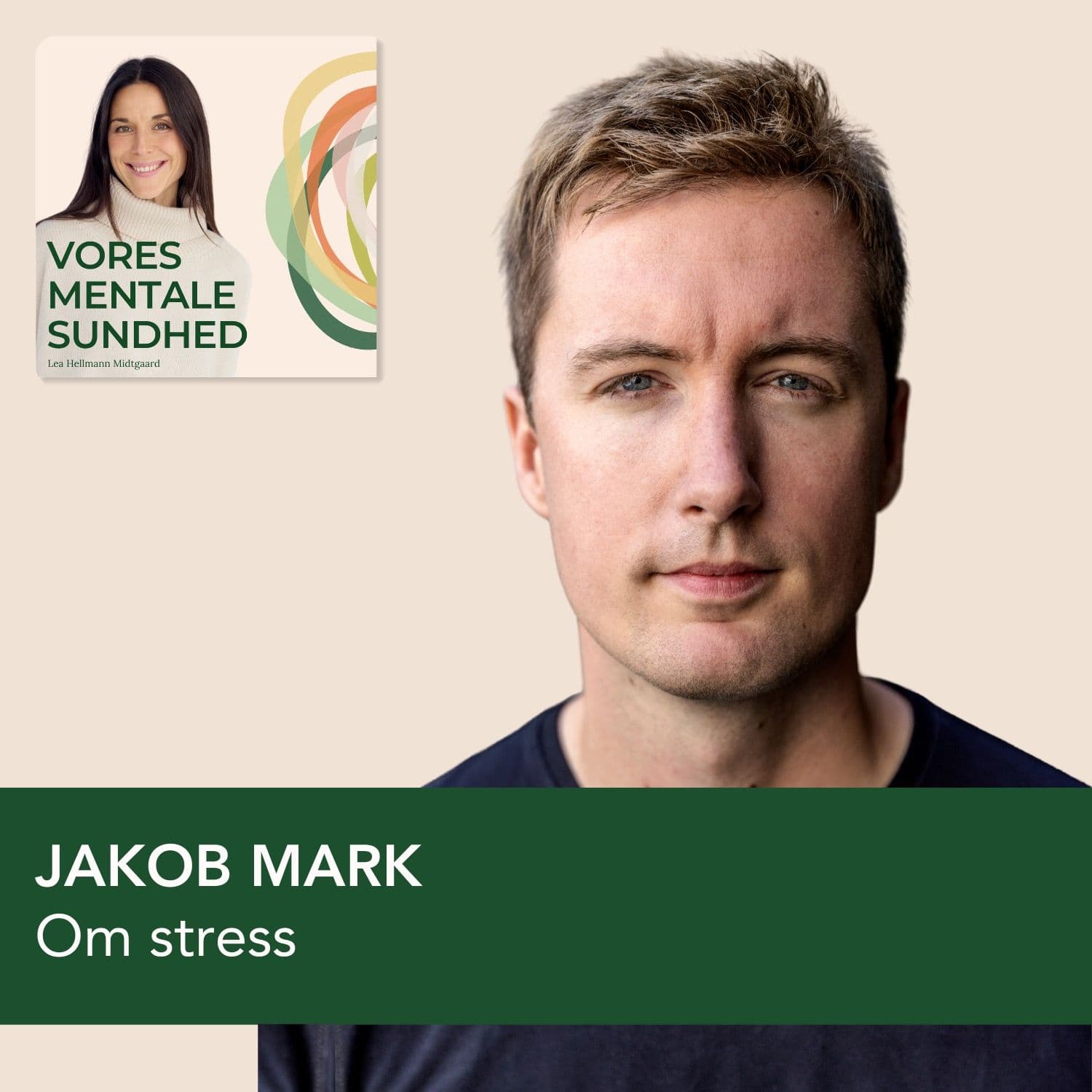 Politiker Jacob Mark om at rejse sig fra stress – og om ikke at falde igen artwork
