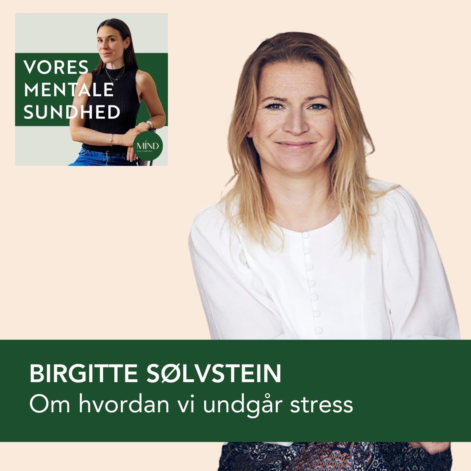 Psykolog Birgitte Sølvstein om hvordan vi undgår stress i et moderne, travlt liv artwork