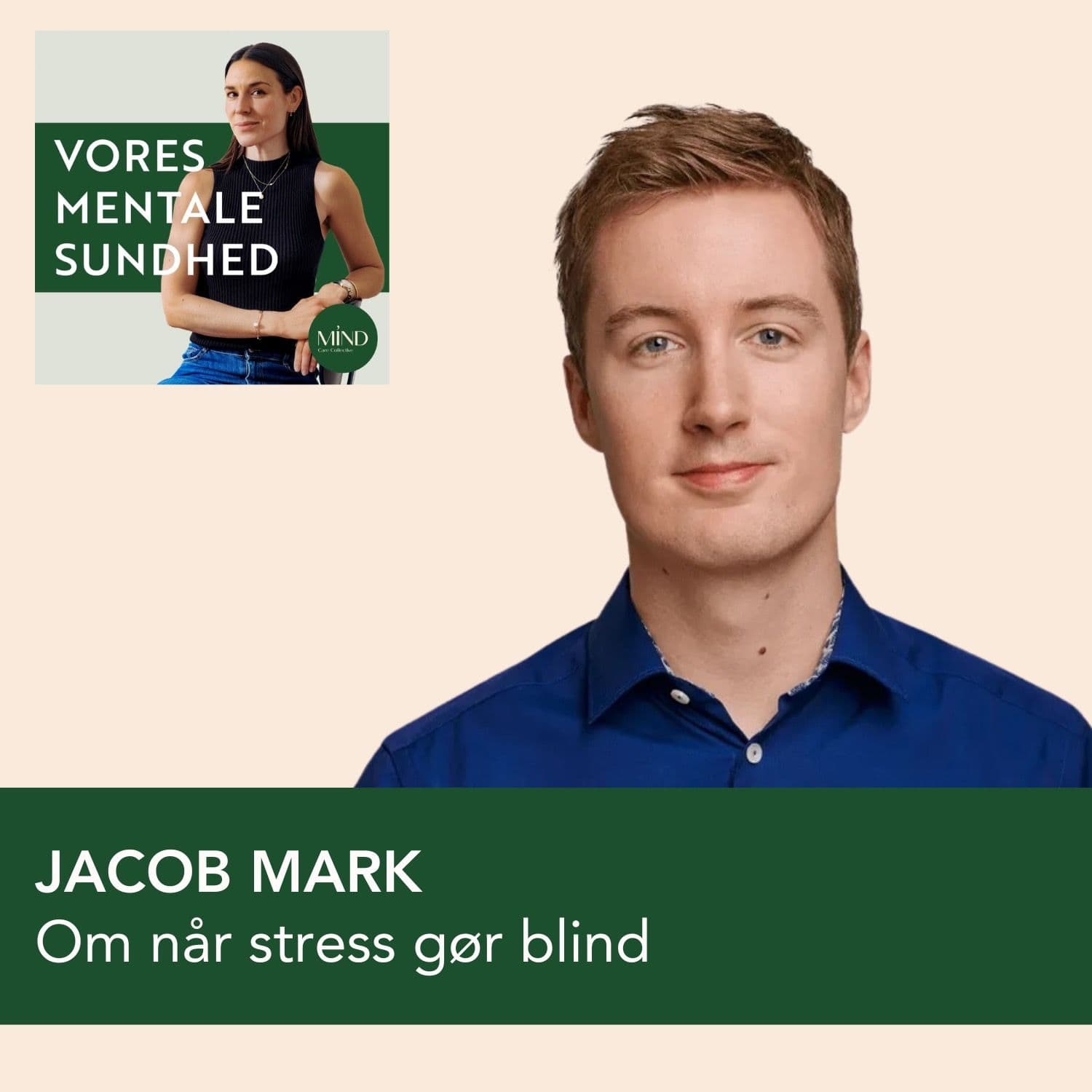 Stress på Christiansborg.
Jacob Mark om at miste synet til stress artwork