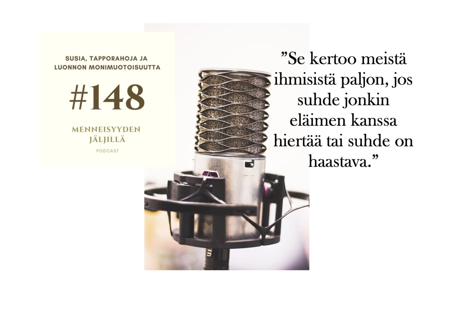 #148 Susia, tapporahoja ja luonnon monimuotoisuutta artwork
