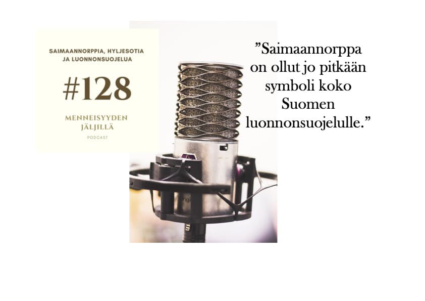 #128 Saimaannorppia, hyljesotia ja luonnonsuojelua artwork