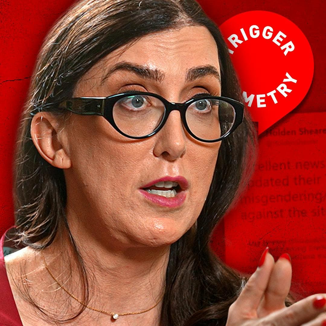 Progressive Activist Speaks Out Against Woke Madness - Brianna Wu artwork