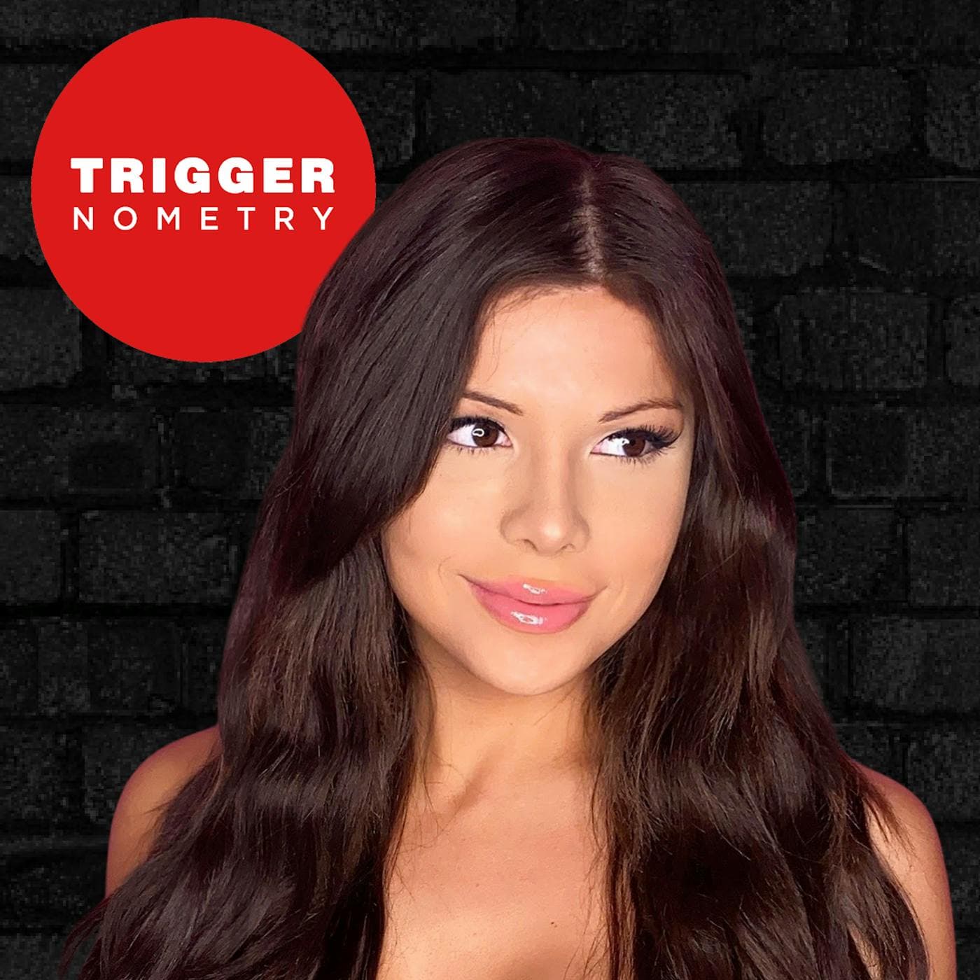 "Gender Dysphoria Is a Mental Disorder" - Blaire White artwork