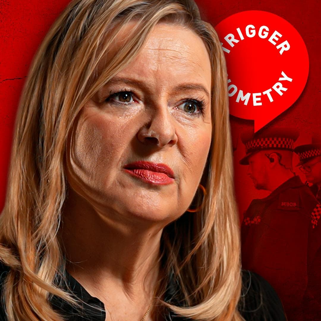 Journalist Investigated for Tweet Speaks Out - Allison Pearson artwork