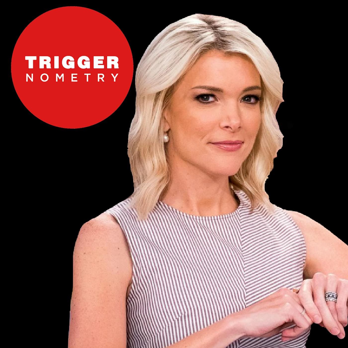 Megyn Kelly: "Biden Presidency Won't Heal America" artwork