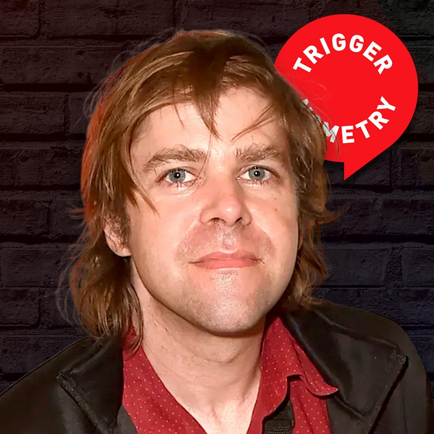Ariel Pink: "I Lost My Career for Attending Peaceful Trump Rally" artwork
