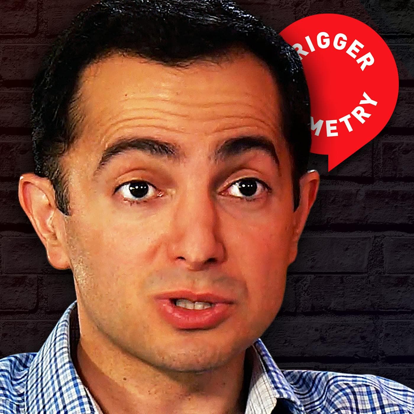 An Unfiltered Conversation with a Right-Wing Comedian - Nicholas de Santo artwork
