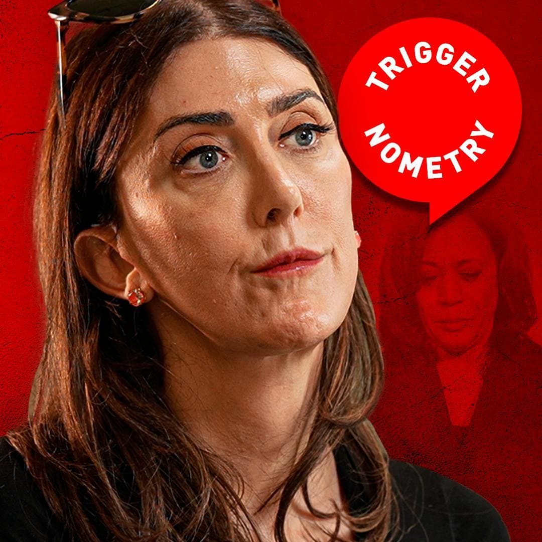 Why We Lost - Brianna Wu artwork