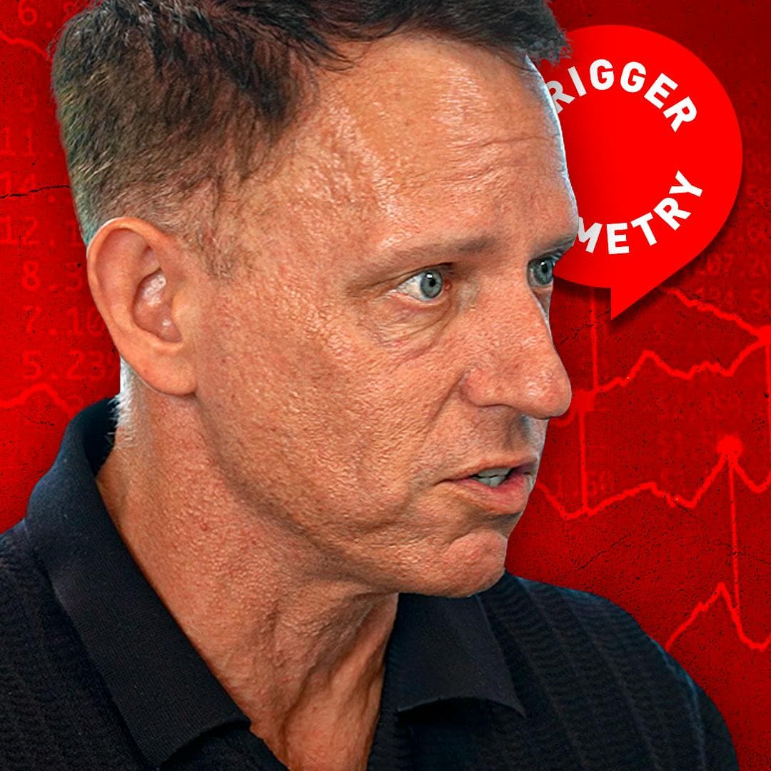 "The Real Risk is Totalitarian World Government" - Peter Thiel artwork