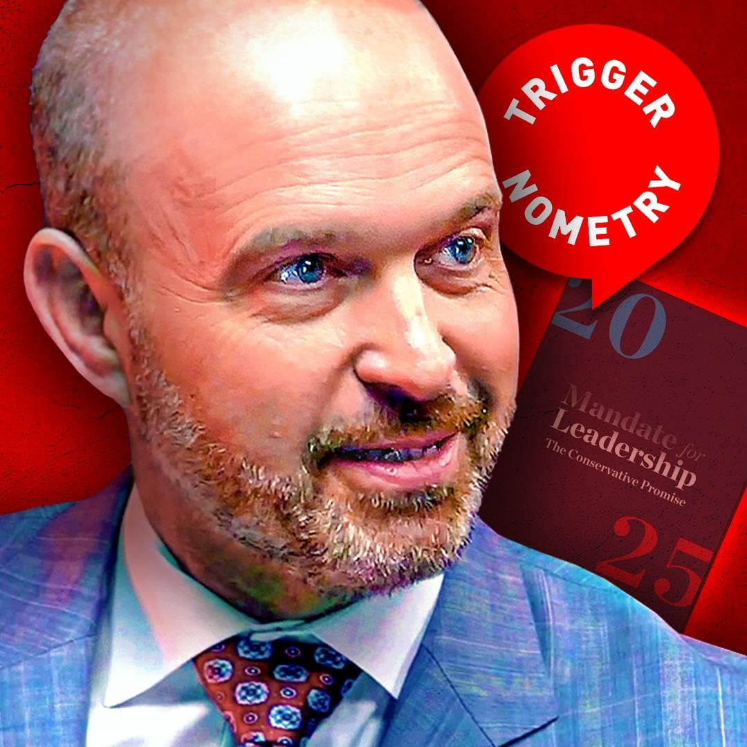 Meet the Man Behind Project 2025 - Kevin Roberts artwork