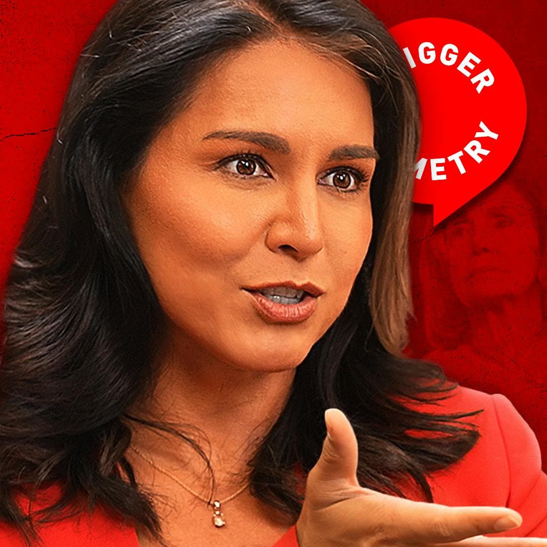 ‘Democrat Elites Just Want Power’ - Tulsi Gabbard artwork