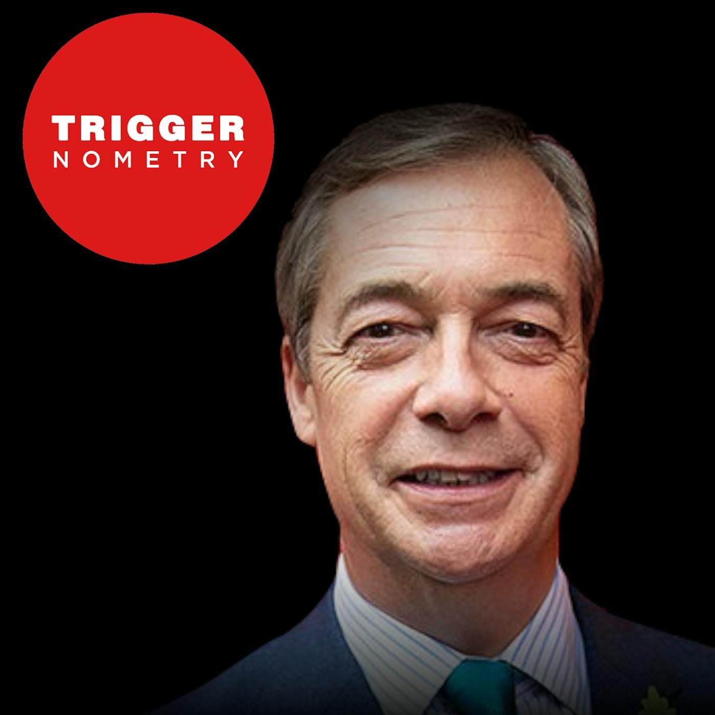 Nigel Farage - How I Took on the Establishment and Won artwork