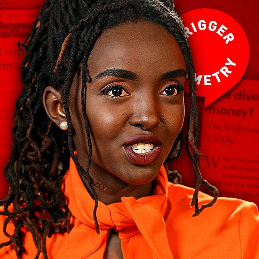Exposing The British DEI Industry - Mercy Muroki artwork