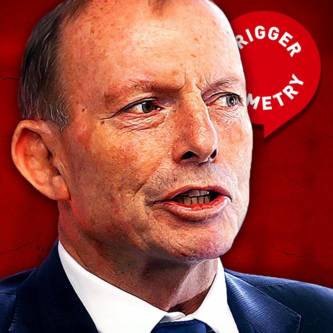 Tony Abbott: We Stopped Illegal Immigration! artwork