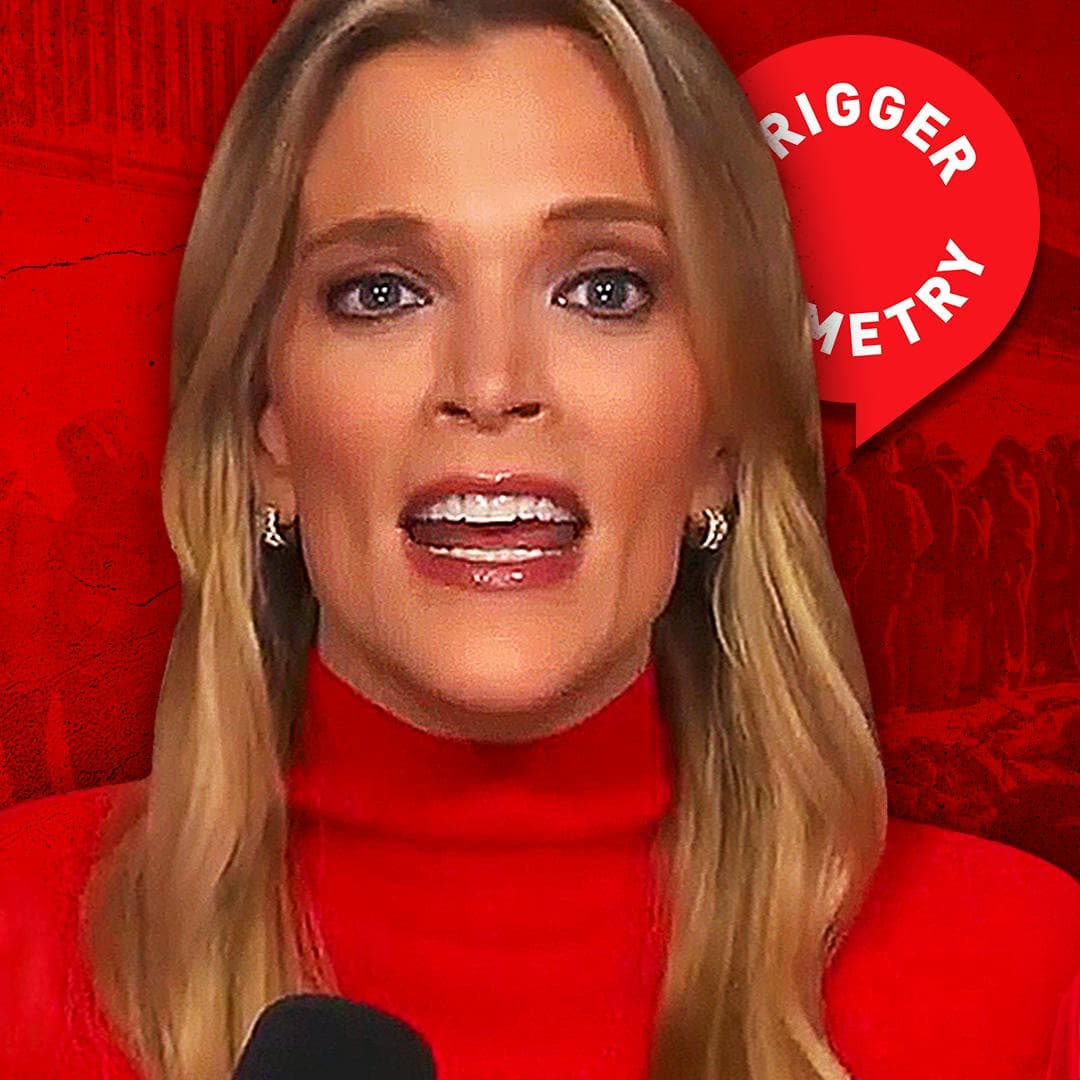 The Dems Want An Open Border - Megyn Kelly artwork