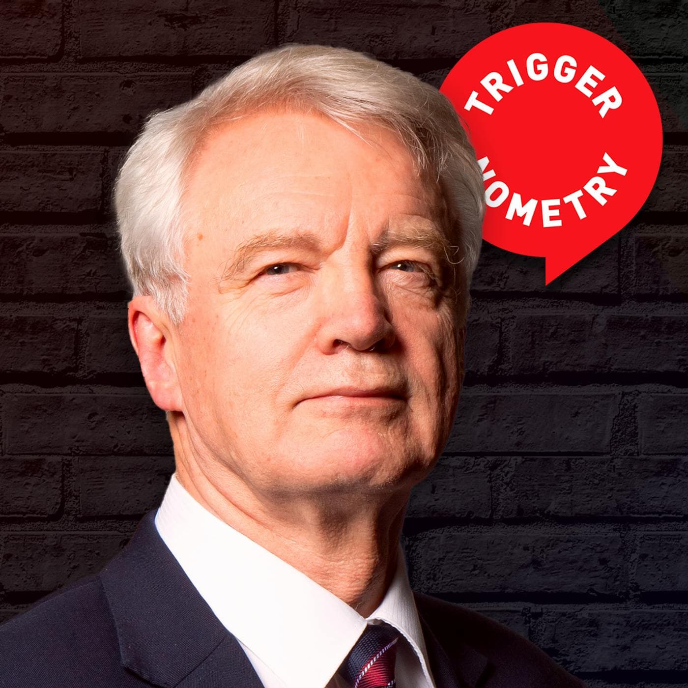 "I Knew Something Was Badly Wrong When They Censored The Scientists" - David Davis MP artwork