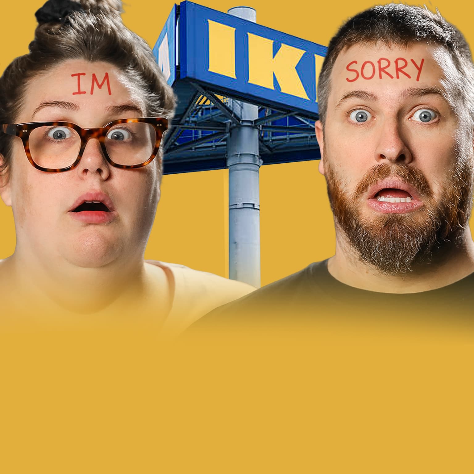 Apologies To The Ikea Guy artwork