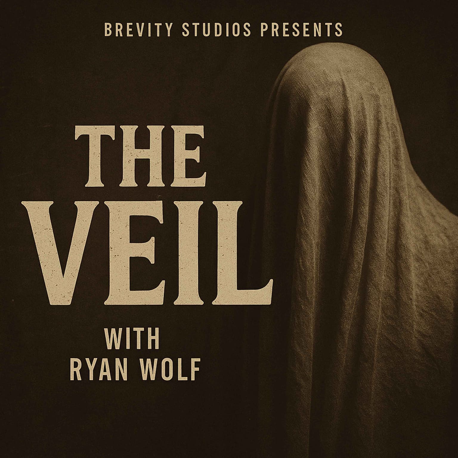 Introducing: The Veil - A new weekly True Crime show from Brevity Studios artwork