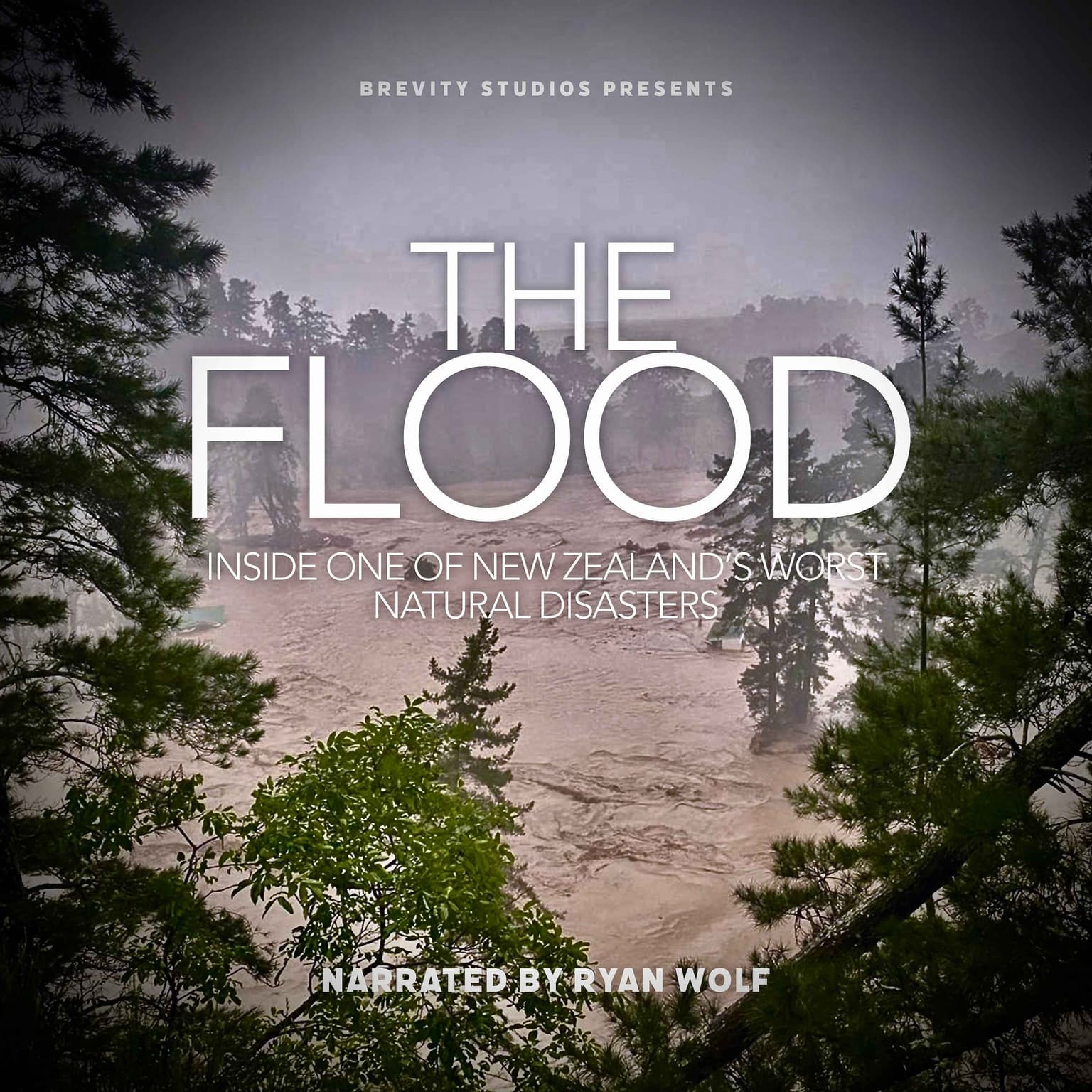 The Flood - Trailer artwork