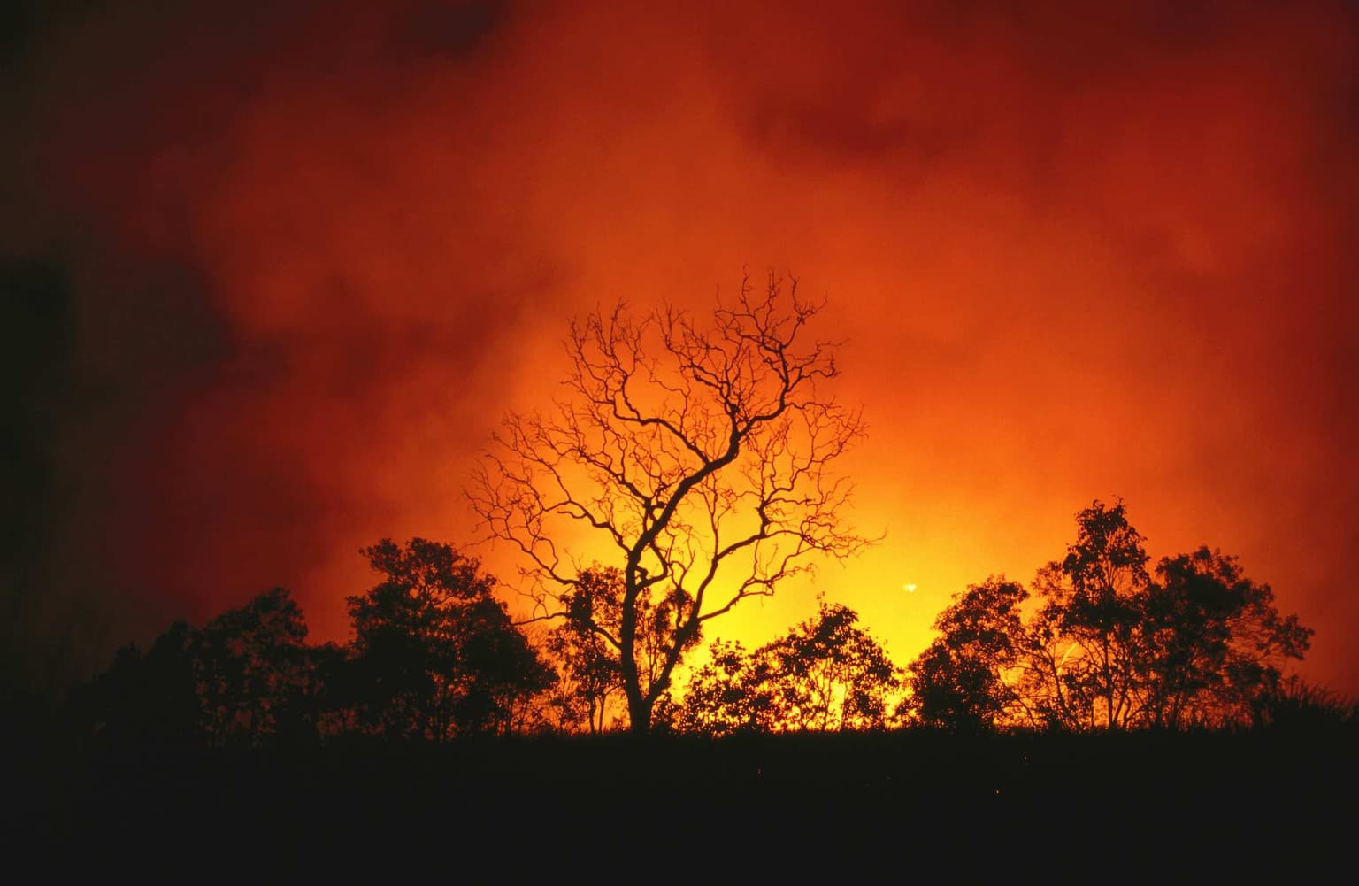 Natural disasters: how floods and fires shape the psyche artwork