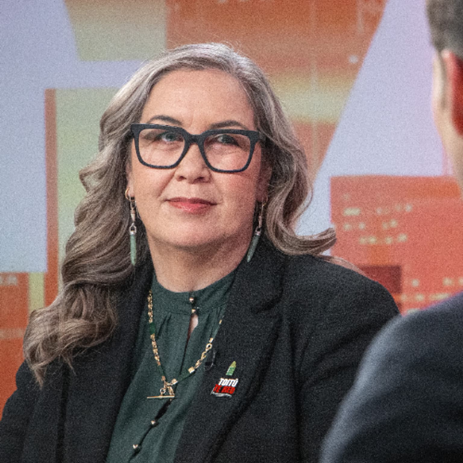 Māori Language Commissioner: Despite Govt's moves, most Kiwis accept te reo artwork