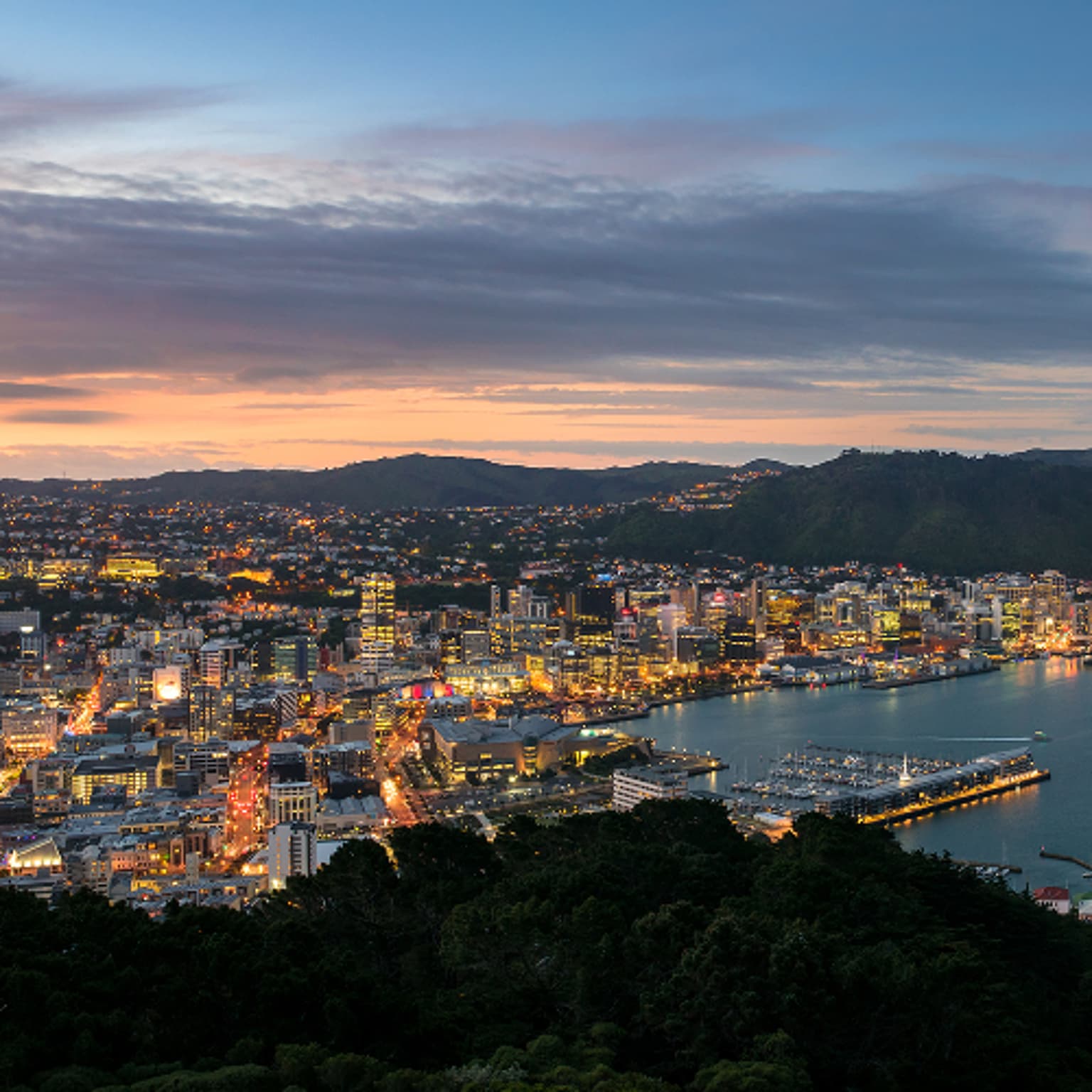Exclusive Wellington mayoral poll: One candidate way ahead artwork