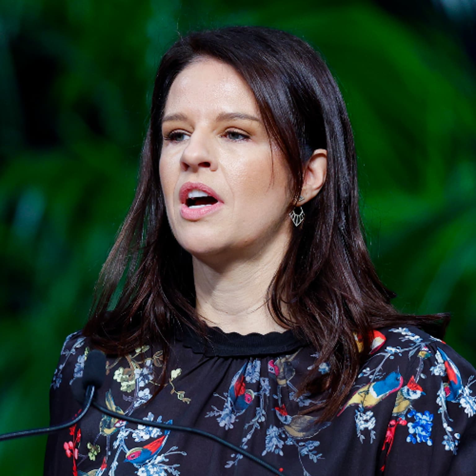 Erica Stanford on charter schools: 'Transformational change' will stop schools converting artwork