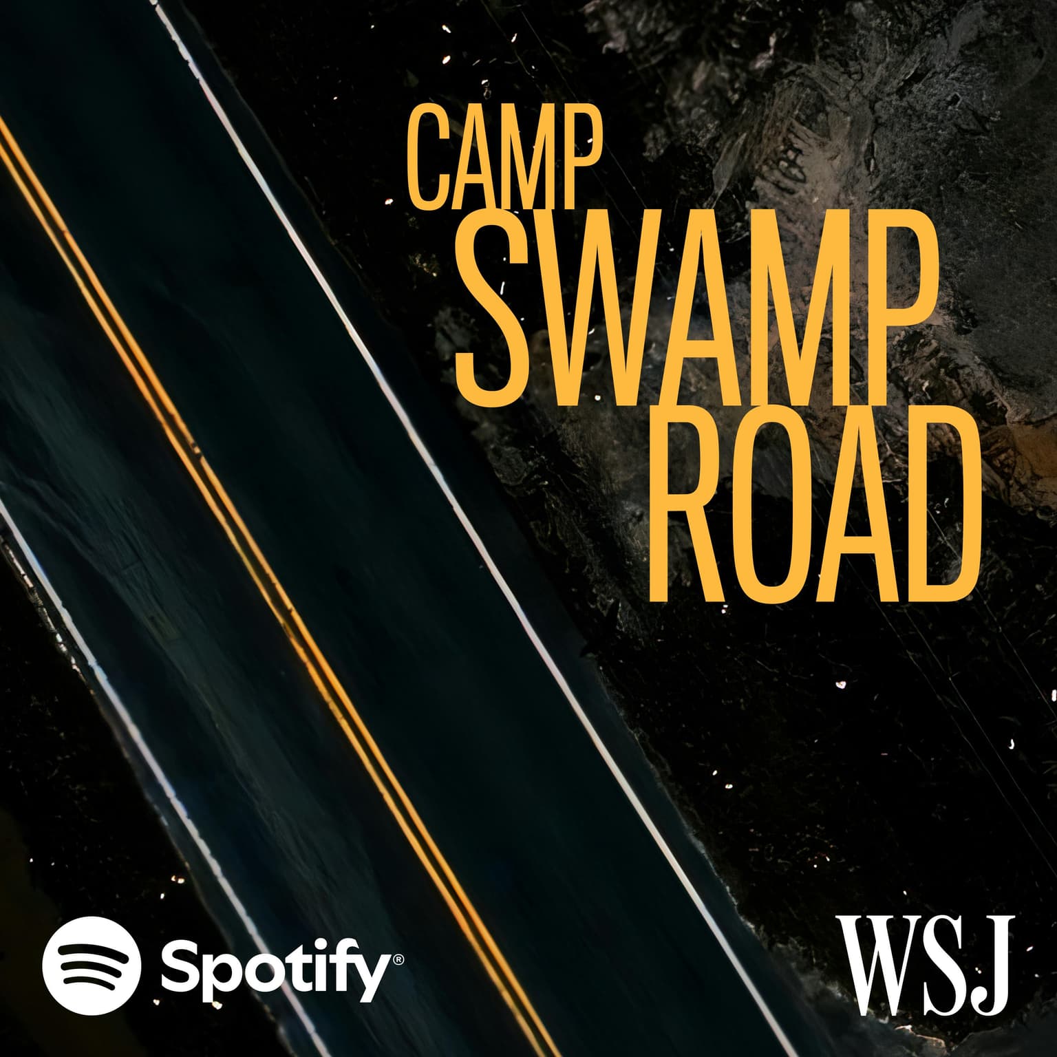 Introducing: Camp Swamp Road artwork