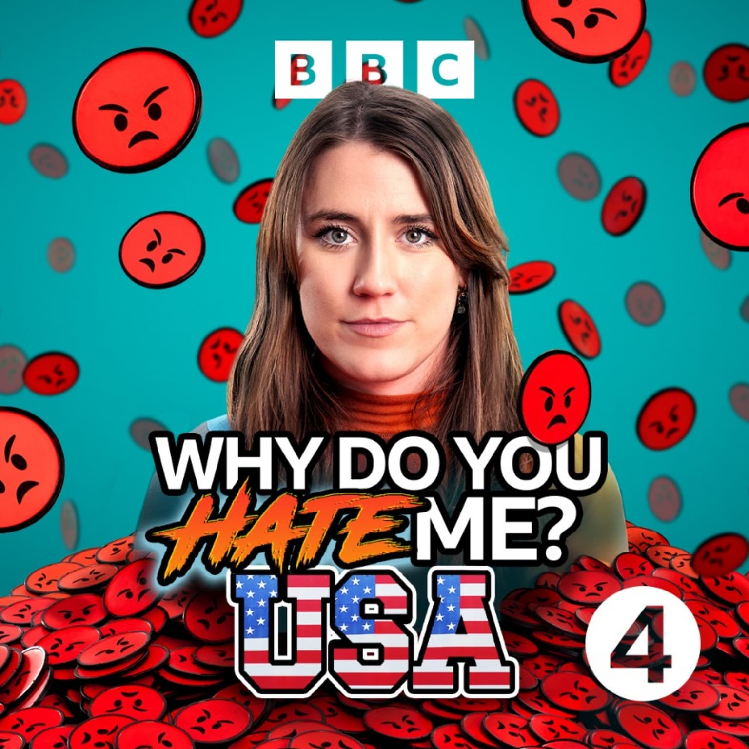 Introducing... Why Do You Hate Me? USA artwork