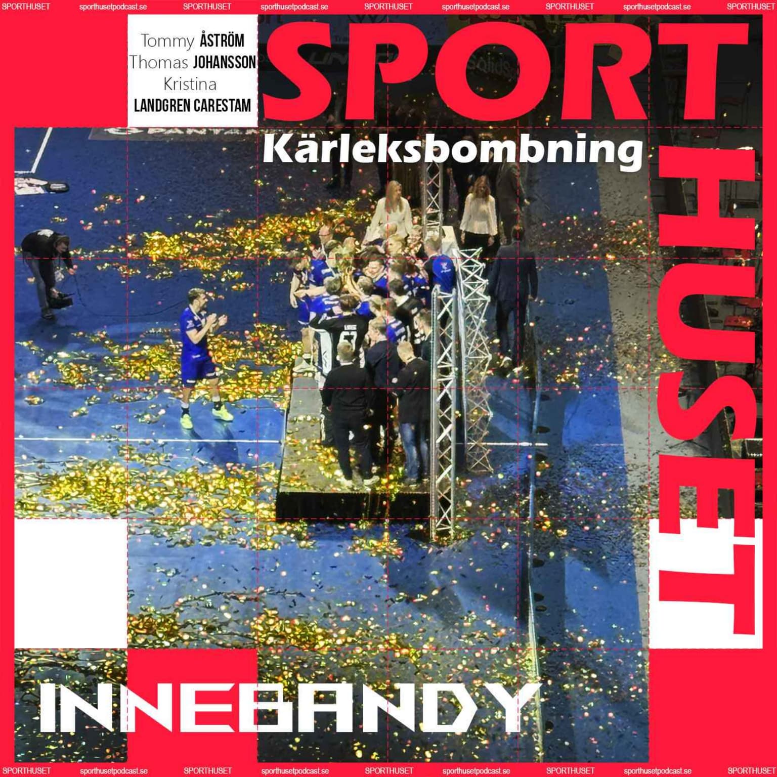 Innebandy artwork