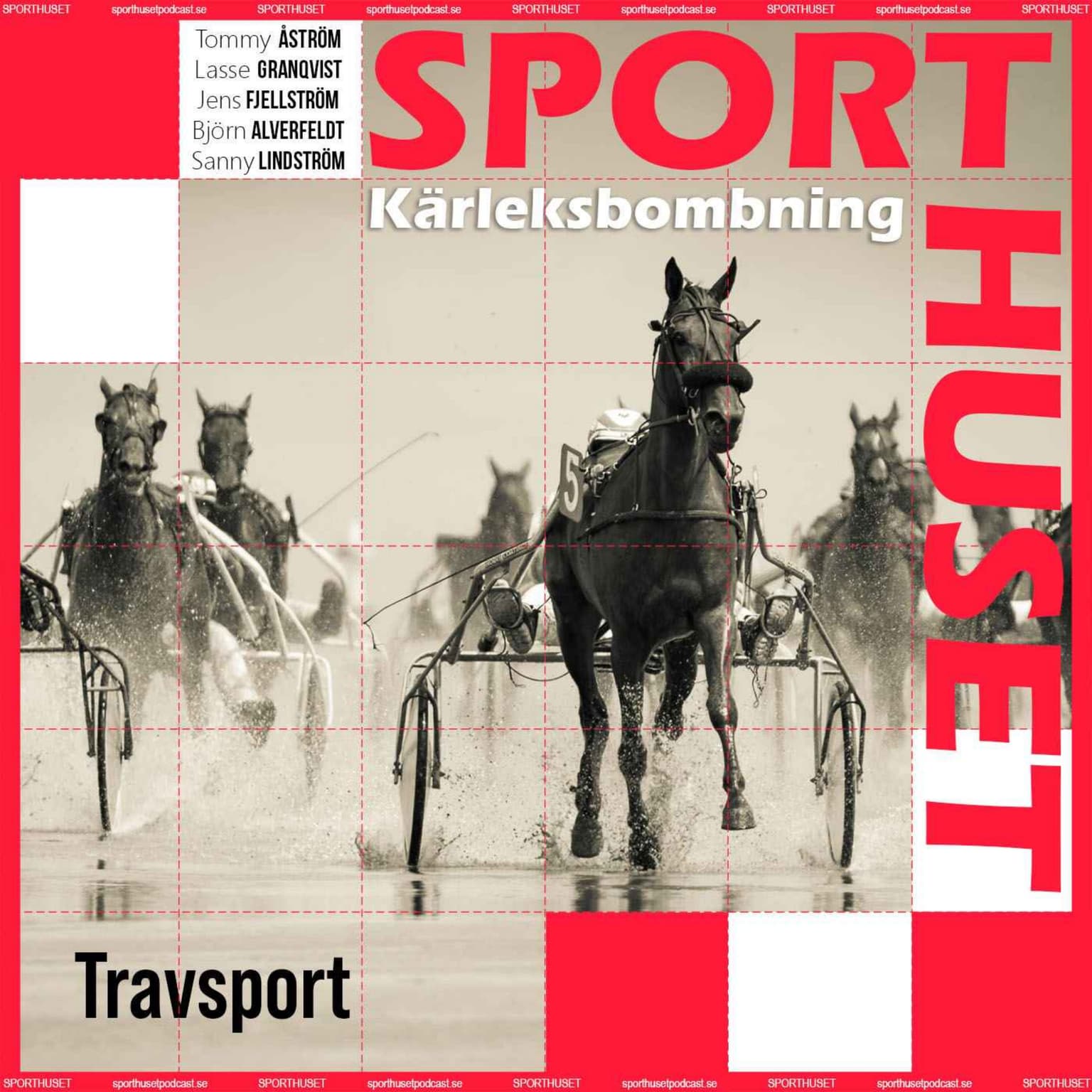 Travsport artwork