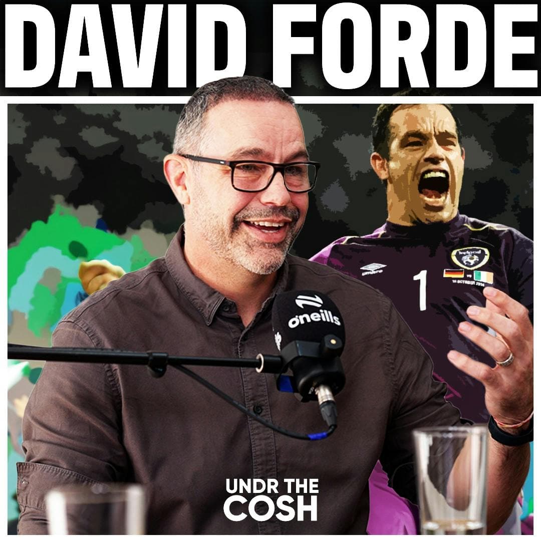 David Forde | Sleeping Lion artwork