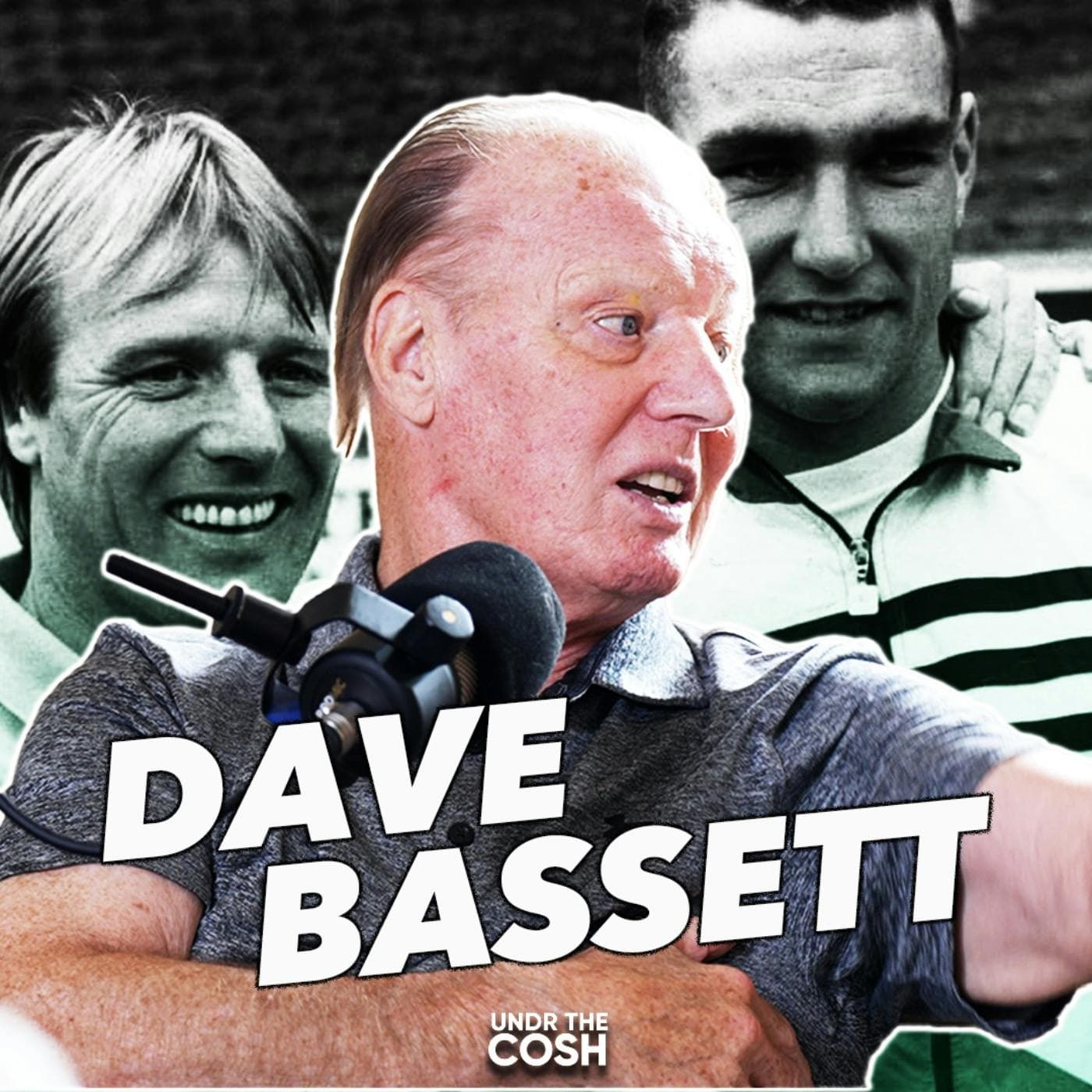 Dave Bassett | Stick Your Olive Branch Up Your Arse artwork