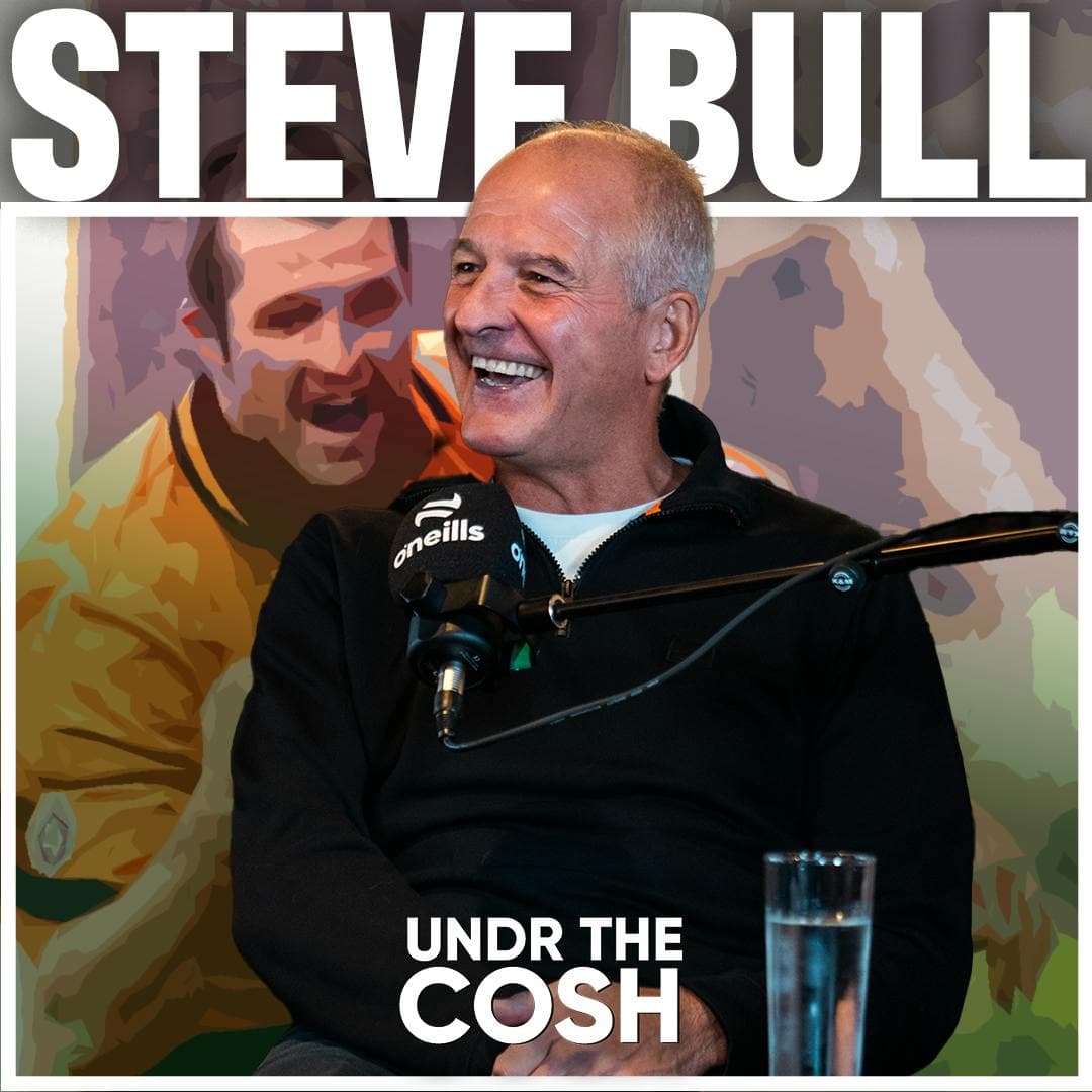 Steve Bull | Bully's Gonna Get You! artwork