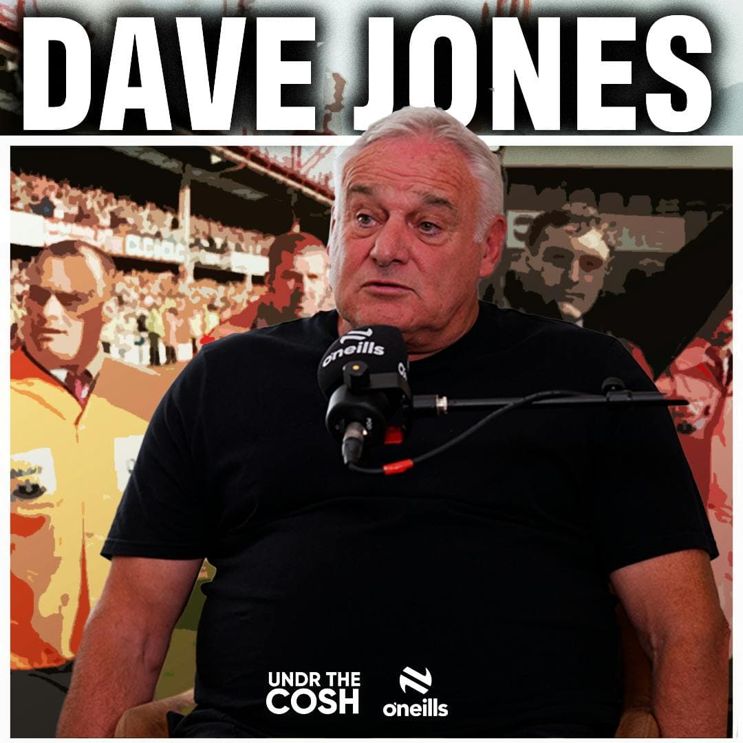 Dave Jones | False Allegations artwork