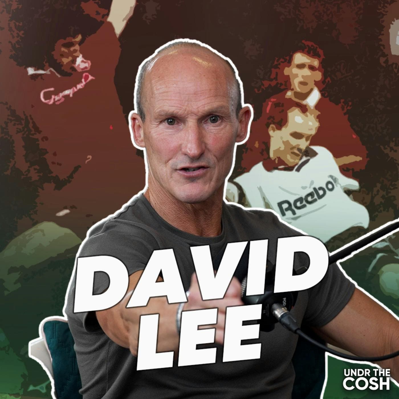 David Lee | Shearer's Map artwork