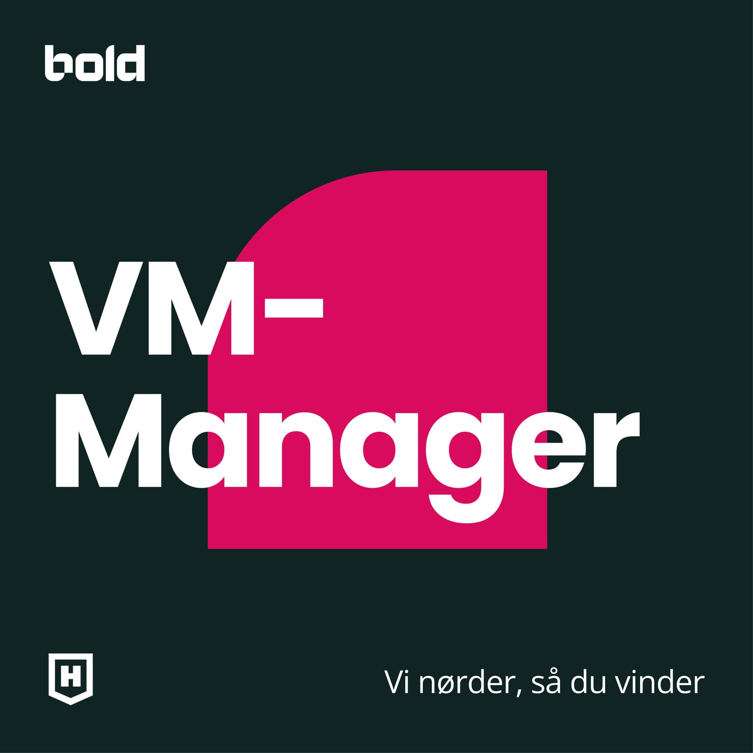 VM Manager 2026 (del 1 af 2): De dyre forsvarsprofiler eller enablerne? artwork