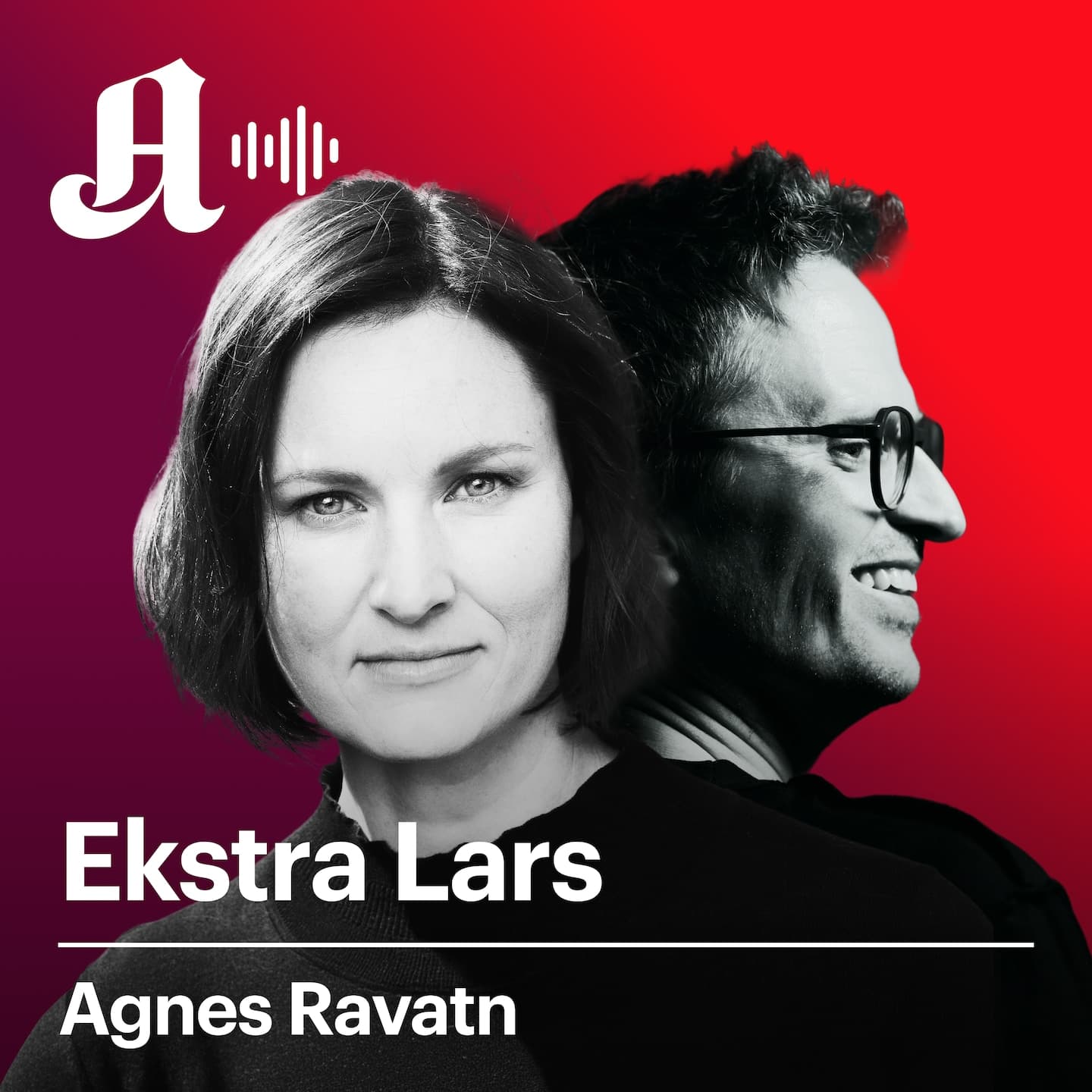 Vi blir dummere: Hva skal vi gjøre med det? artwork