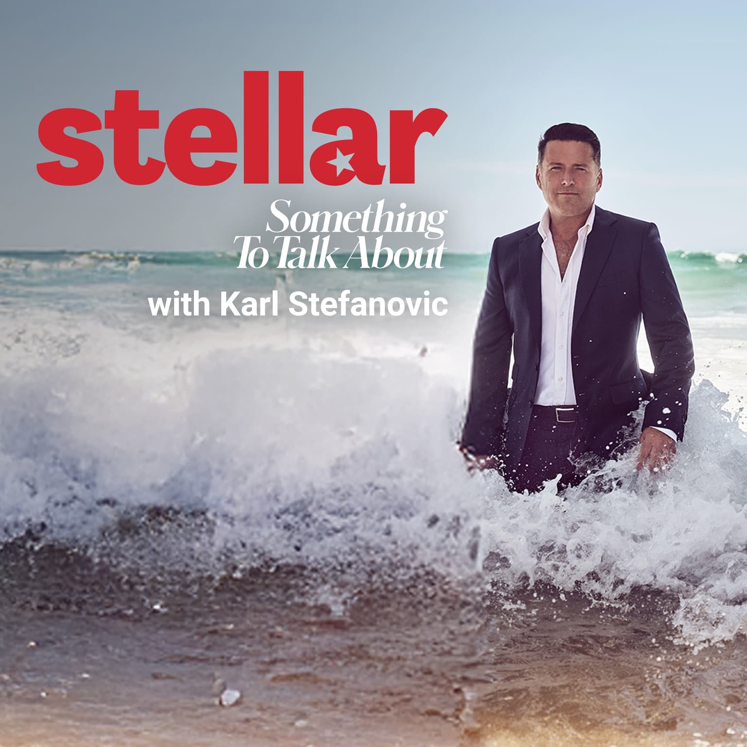 Karl Stefanovic on family, fear and the price of fame artwork
