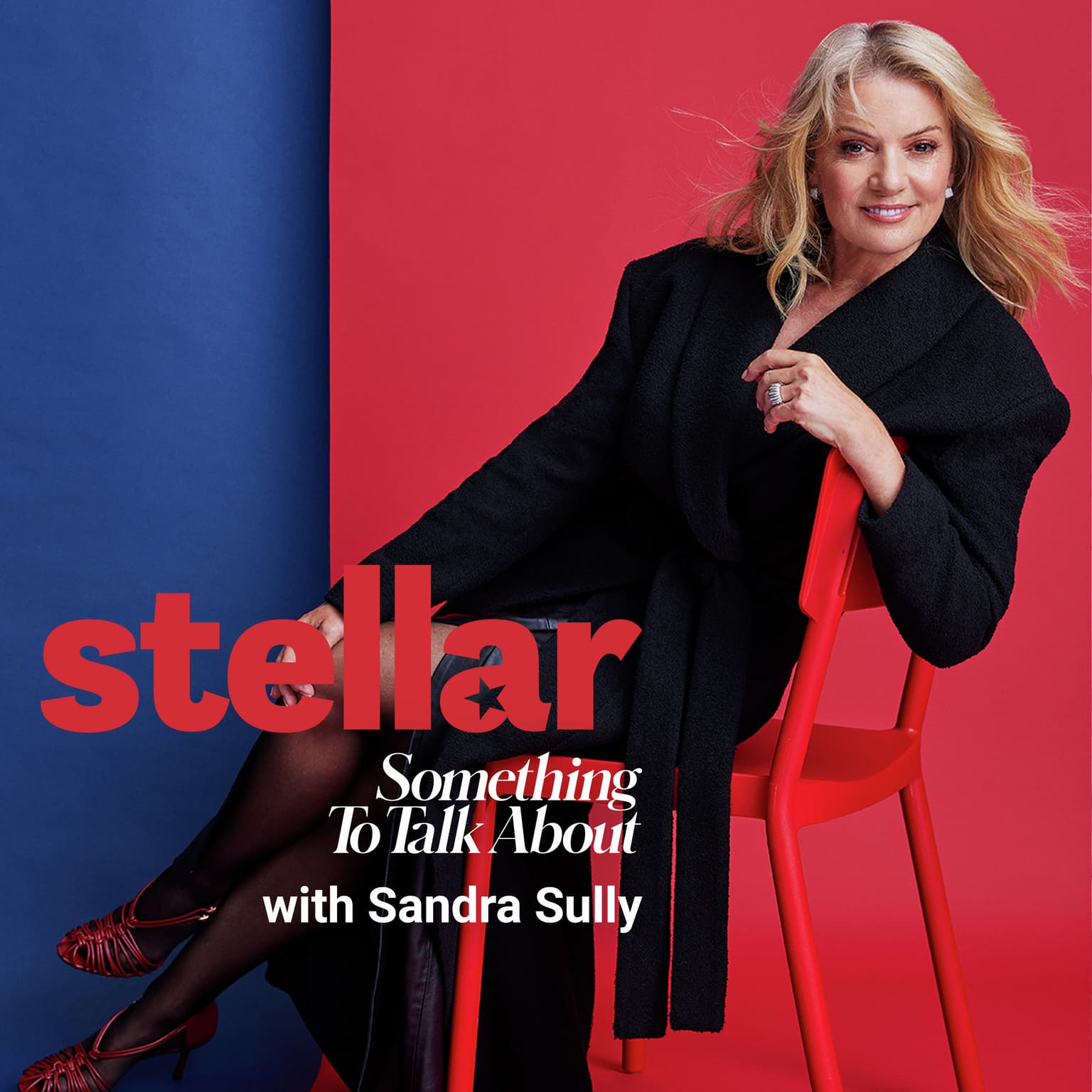 Sandra Sully: ”I always felt a bit fraudulent, a bit of an imposter.” artwork