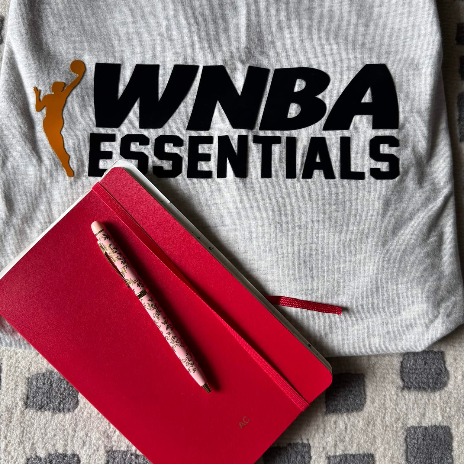 Diary of a WNBA negotiator artwork