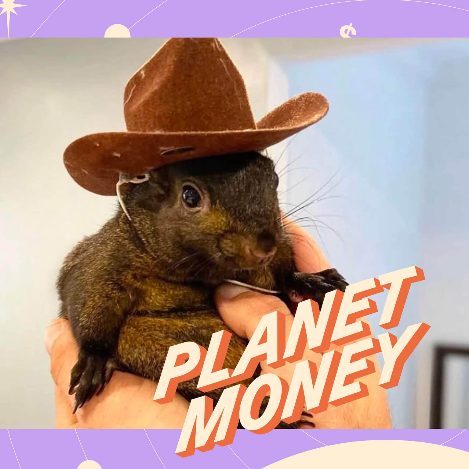 The Parable of Peanut the Memecoin artwork