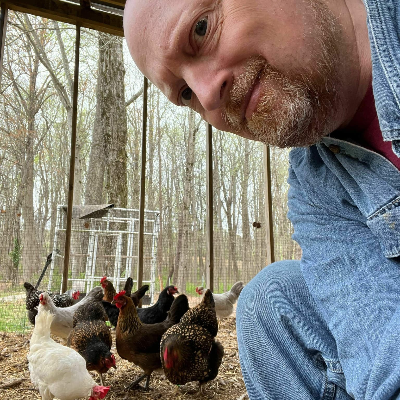 How much for that egg artwork