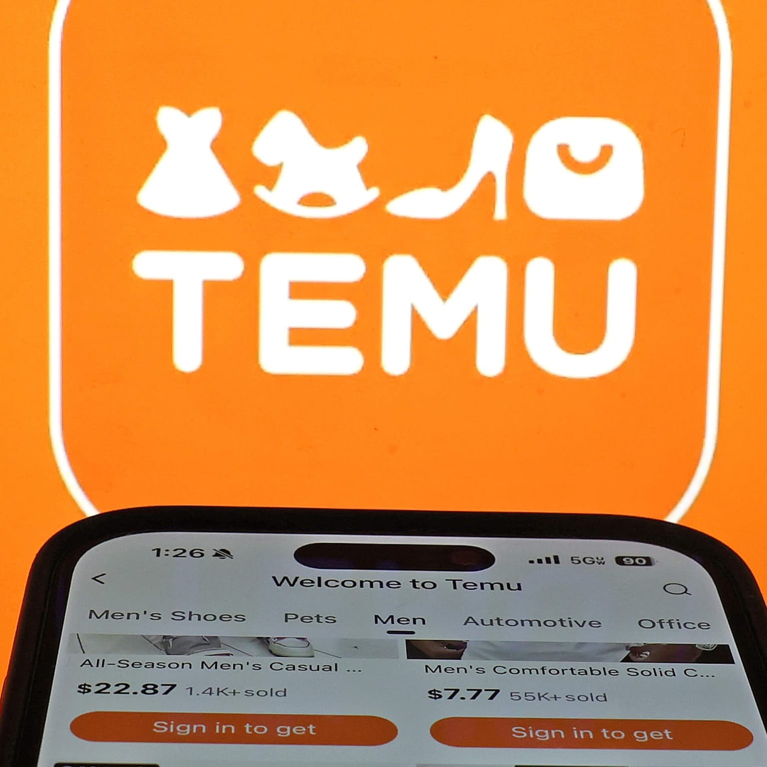 What is Temu? artwork