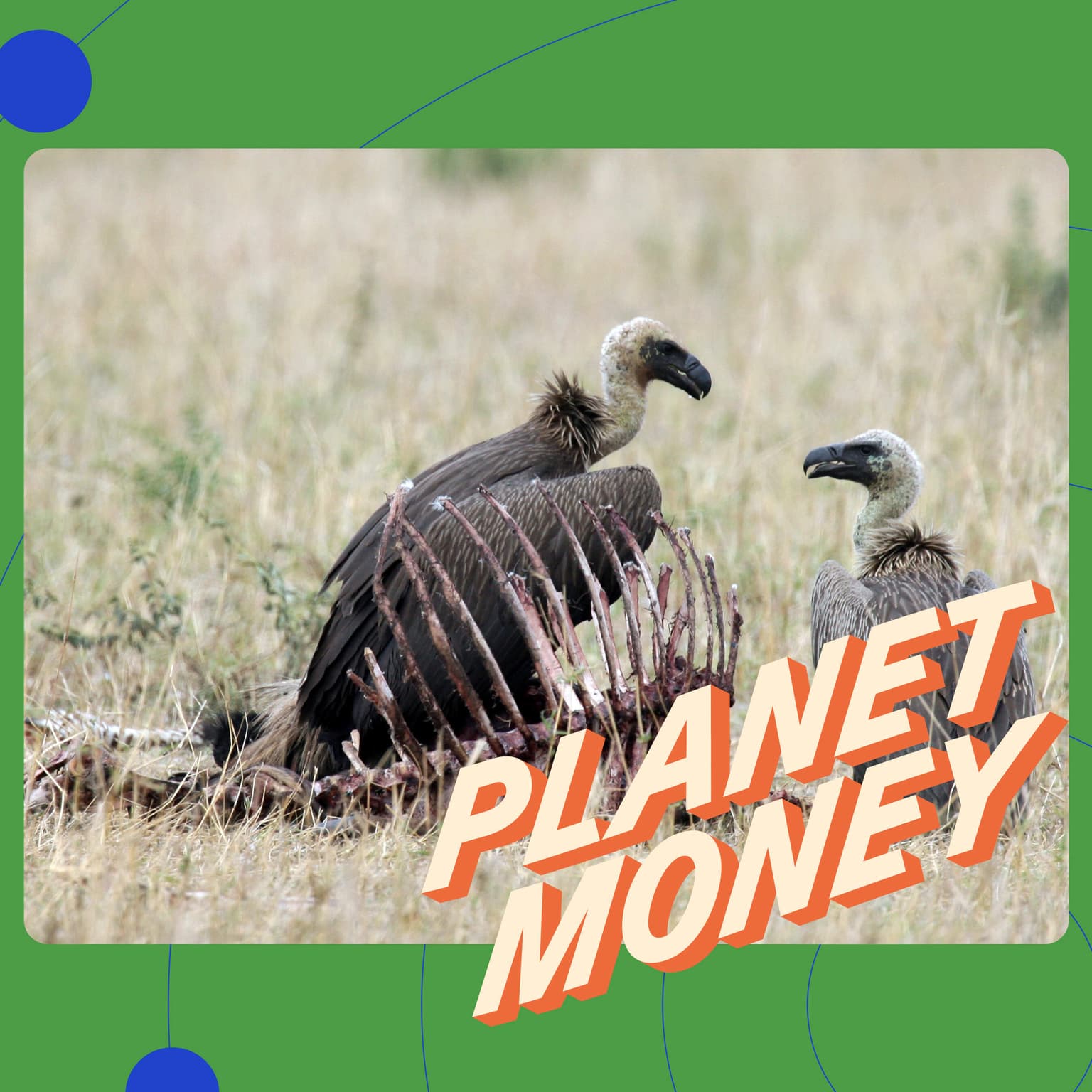 FTX and the Serengeti of bankruptcy artwork