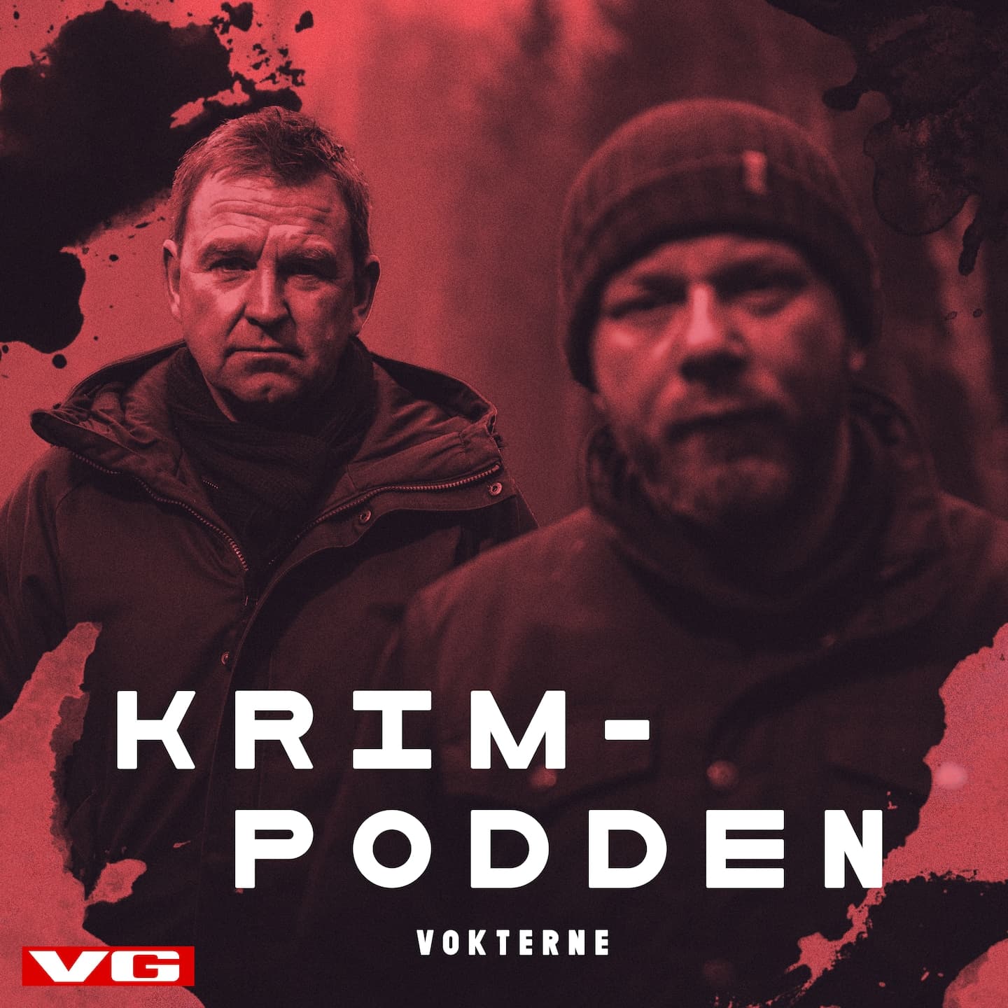 Har du stjålet noe, Øystein? artwork