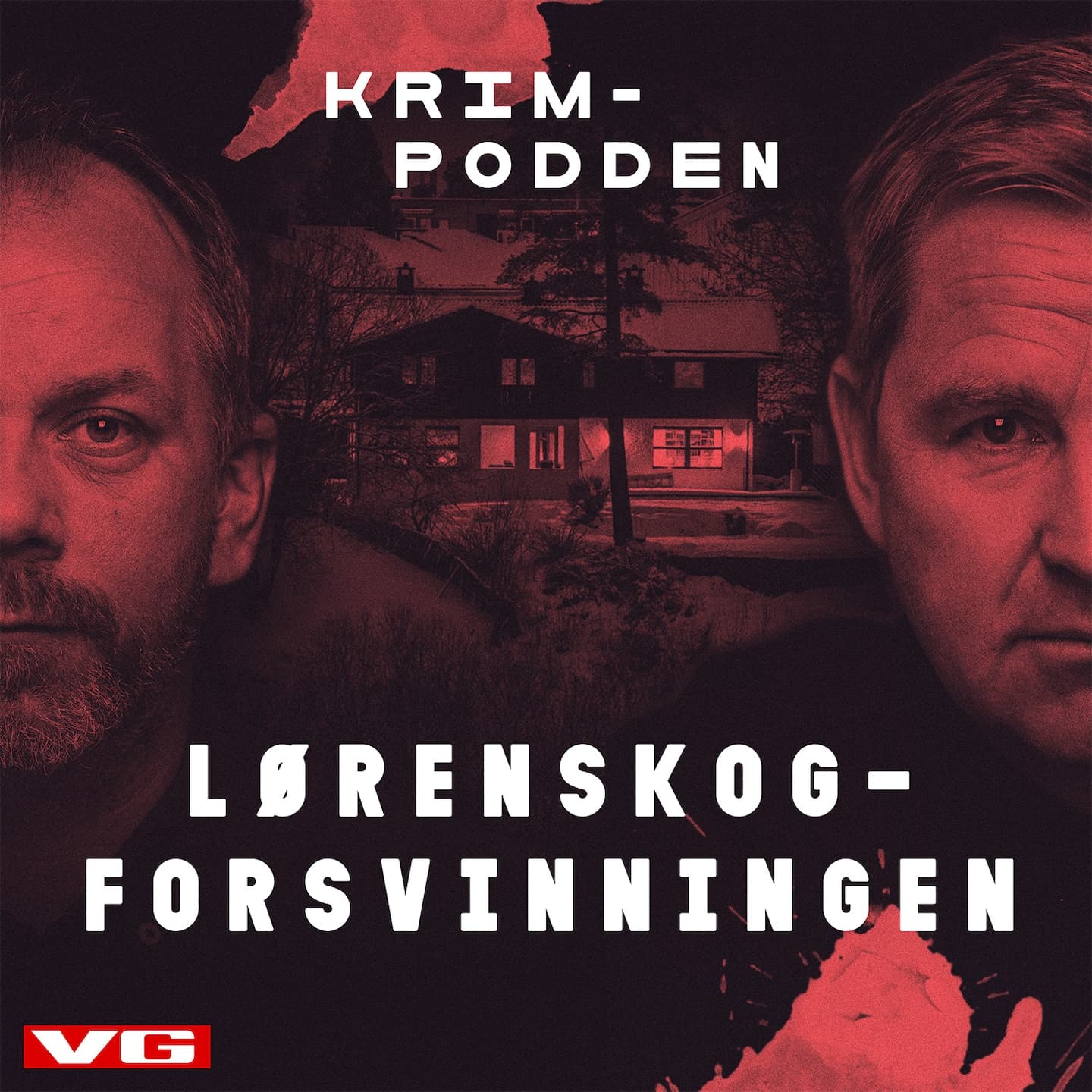 Hva skjedde med Anne-Elisabeth Hagen? artwork