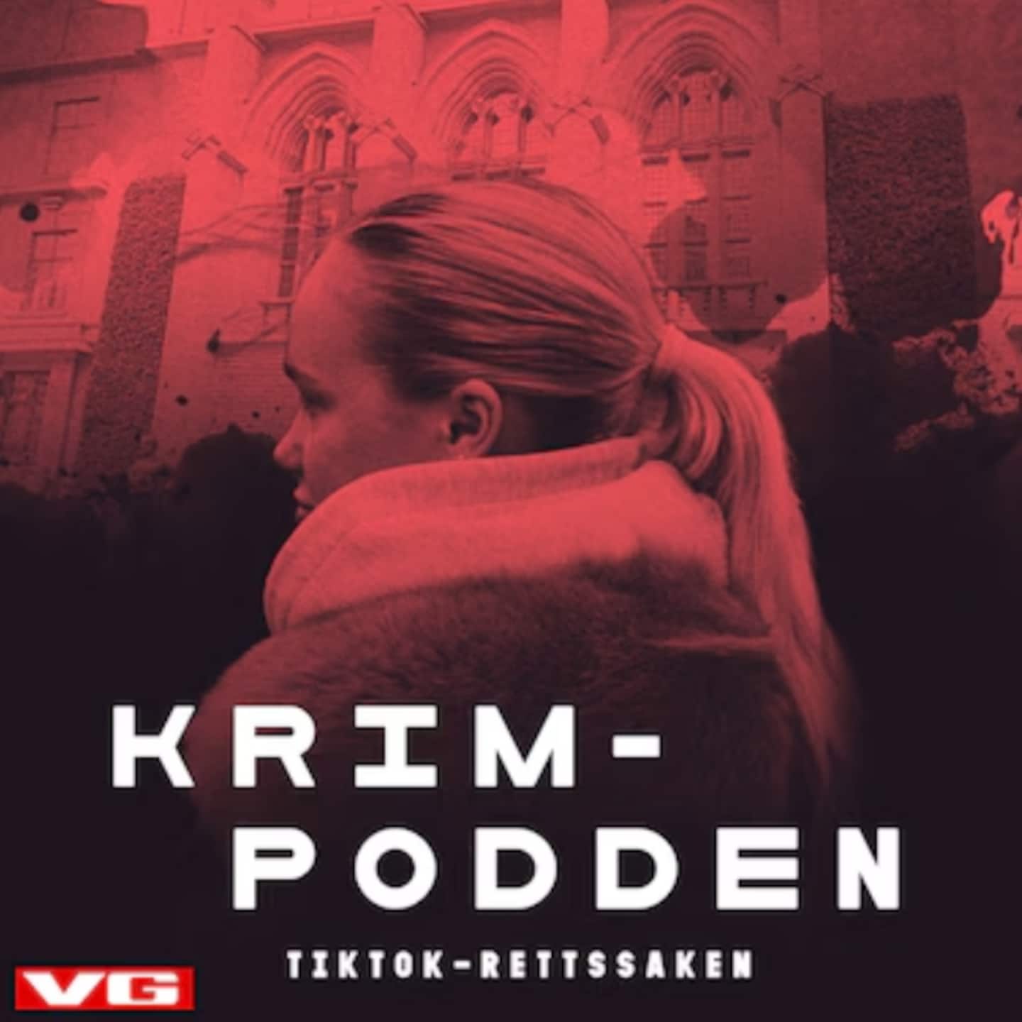 Ny serie: Tiktok-rettssaken artwork