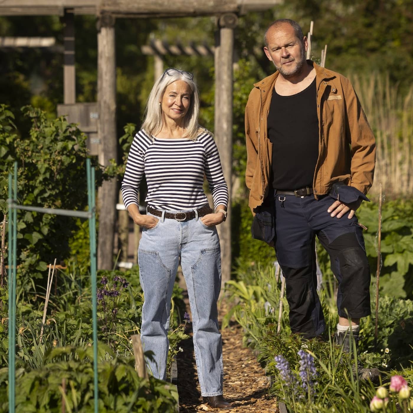 Lökplan för botaniska tulpaner och skira narcisser artwork