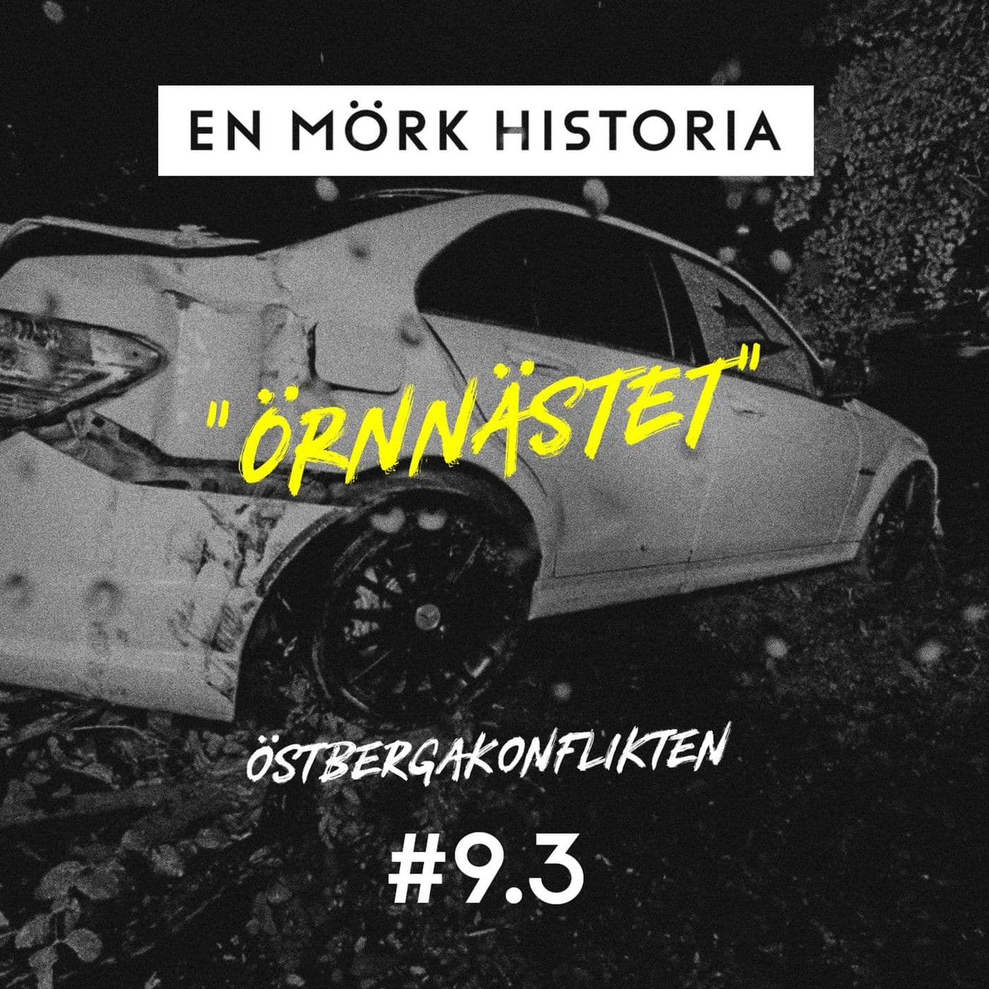 Östbergakonflikten 3/5 - "örnnästet" artwork